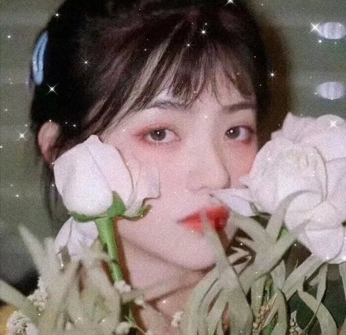 雪山飞狐粤语